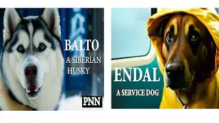 Heroic Dogs Worldwide #Dogs known for their Loyalty and Heroism in Saving people #dog