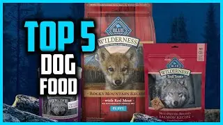 ✅Top 5 Best Dog Food For Border Collies in 2025