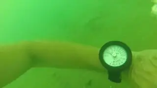Browne Bear Diving - Lake Erie  Out by Detroit lighthouse