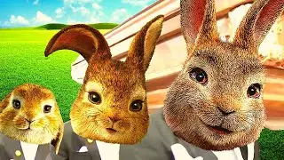 Peter Rabbit 2 - Coffin Dance Song COVER