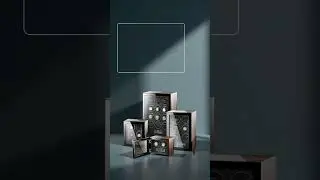 Premium Timepiece Care with Tempus 12