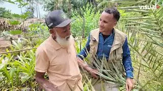 CONHE&Ccedil;A O HOMEM QUE TRANSFORMOU SEU S&Iacute;TIO EM UM PARA&Iacute;SO DE FRUTAS E SABORES NATURAIS!