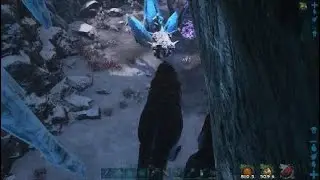 Ark Fjordur - Steinbj&ouml;rn Fight