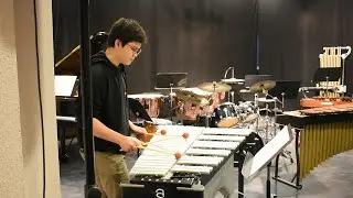 vibrafoon played by Ziv Beauquesne