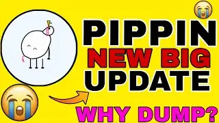 Падение Pippin Coin 😭 Новое крупное обновление Pippin Coin | Прогноз будущей цены Pippin Coin на ...