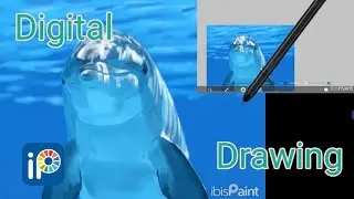 Realistic Dolphin Art on Android: ibisPaint Time-lapse