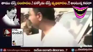 Ktr arguing with police