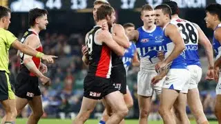 St.Kilda v Nth Melbourne Round 8 2024