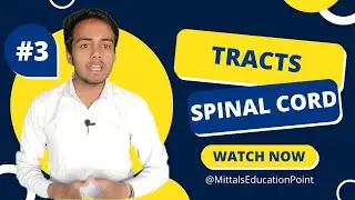 Tracts of the Spinal Cord | Ascending and Descending Tracts | Mittal