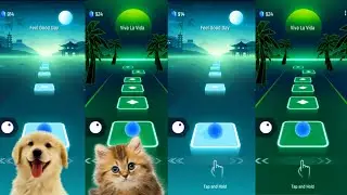 Tiles hop EDM Rush   Brown dog vs Cute cat on Ball Games channel