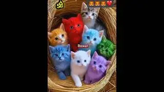🐱&ldquo;When a cat&rsquo;s wish comes true&hellip; 🚗 #CuteCat #CatWish #CatWithFruits #WishGranted #Kids #FruityFun