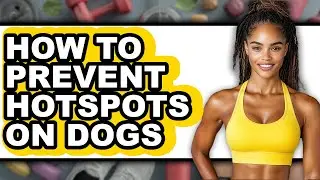 How to Prevent Hotspots on Dogs - Step by Step