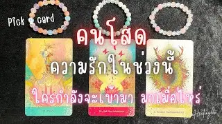 Pick a card ❤️ Ep621 | คนโสด 💘 ดวงความรักในช่วงนี้ ใครกำลังจะเข้ามา✨Timeless