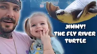 Our FLY RIVER TURTLE gets a NEW AQUARIUM!