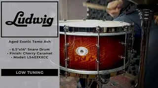 Ludwig 6.5