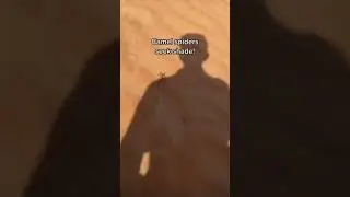 #memes #funny #spider #jokes #funnyshorts