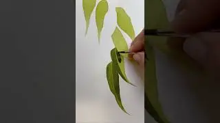 Eucalyptus #watercolorart #watercolour #art #painting #watercolorpainting #shorts #watercolor