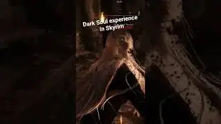 Dark Soul experience in Skyrim #skyrim #modding
