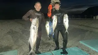 En busca del LIMÓN🍋 | PESCA SUBMARINA