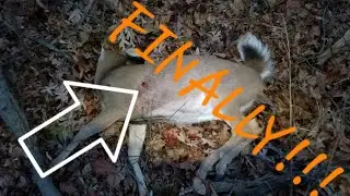 MY FIRST DEER!! Opening Weekend 2019 Indiana Deer Season