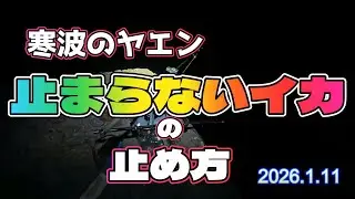 【ヤエン】止まらないイカの止め方【アオリイカ】