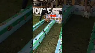 The rabbit and turtle race stunned everyone😱🤯#shorts #viral #trending #viralshorts #education