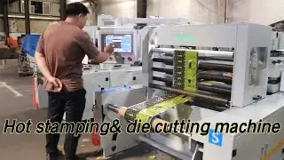 Plastic film roll feeding hot foil stamping and die cutting machine for package bags