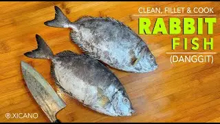 CLEAN, FILLET & COOK || RABBITFISH (Danggit)