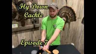 Fly Down Cackle
