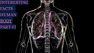 #interestingfact | #baggacreativity | #humanbodyfacts | #lesserknown | #knowyourbody | #bagga | #U