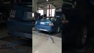 Cammed 4.6 2v Mustang GT Dyno Pull
