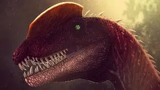Top 10 Largest Fish In The World