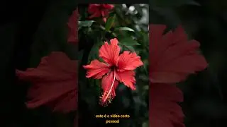 Como aumentar qualidade de imagem Com IA #smartphone #tecnologia #tutorial #photoshop #design