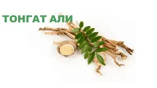 ТОНГАТ АЛИ/ МОИ ЛИЧНЫЕ ОЩУЩЕНИЯ