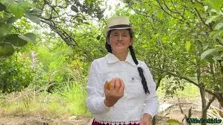 De la planta a la boca, lo mejor de vivir en el campo