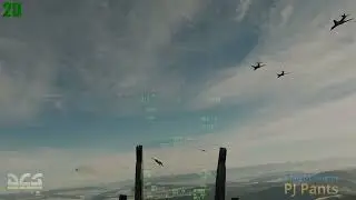 DCS DLSS