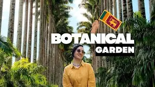Sri Lanka&rsquo;s Green Paradise | Royal Botanic Gardens Peradeniya, Kandy 📍
