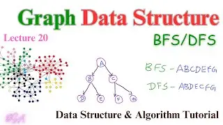 Breadth First Search & Depth First Search In Graph Data Structure | Data Structures & Algorithm #dsa