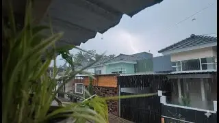 30 Minutes of Real Tropical Rain Ambience &ndash; No Looping, No Cut #rain #asmr #nature #relaxingsounds
