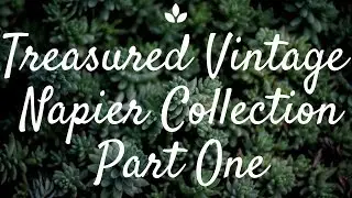 Treasured Vintage Napier Collection Part 1 - Book Pieces