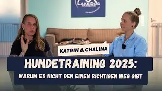 Hundetraining 2025: Warum es nicht den einen richtigen Weg gibt