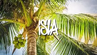 [Free For Profit] Bachata / Reggae Type Beat 