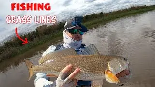 Pro Strategies For Catching More Fish Near Grass Lines