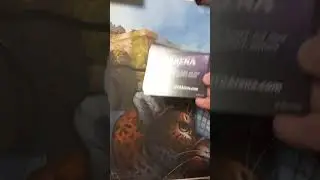 МТГ:Відкриваємо промо бустер! +БОНУС Magic:The Gathering promo pack opening!№1 #mtg #shorts