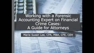 Working with a Forensic Accounting Experts on Financial Crime Cases