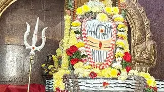 ମରୂଛ କ'ଣ ପାଇଁ ବେ 🤬 ଶାଲା ବେକ ମୁଢି ଦେବୀ 🤬😔 ହର ହର ମହାଦେବ 🙏 ଜୟ ଗୁରୁ 🙏