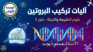 السنة الثالثة ثانوي -الحصة 02 - الوحدة الاولى آليات تركيب البروتين