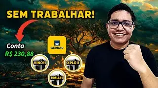 Quanto rendem meus investimentos? Recebi R$ 230,88 de dividendos (XPLG11, VINO11, GOAU4 e mais)