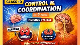 Control & Coordination I @pritiduhanofficial