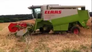 Rapsernte mit 2 Claas Lexion 405